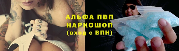 a pvp Алзамай