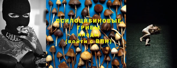 a pvp Алзамай