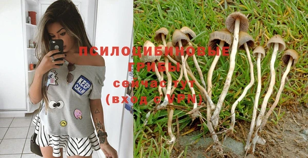 крисы Алексеевка