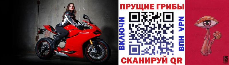 Псилоцибиновые грибы Cubensis  Николаевск-на-Амуре 